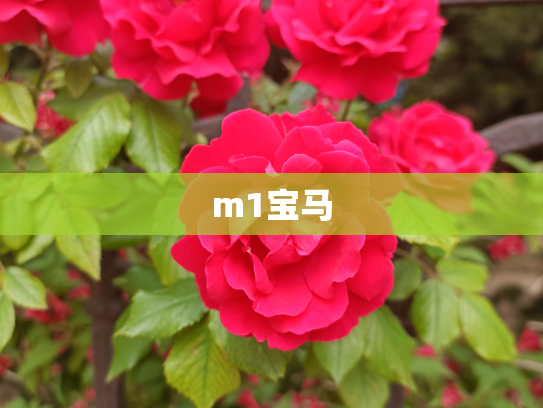 m1宝马