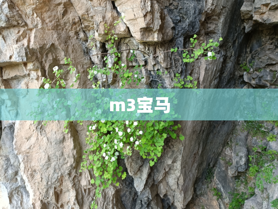 m3宝马
