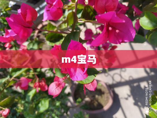m4宝马