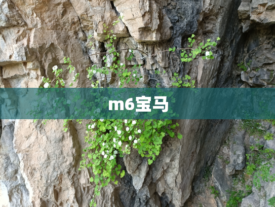 m6宝马