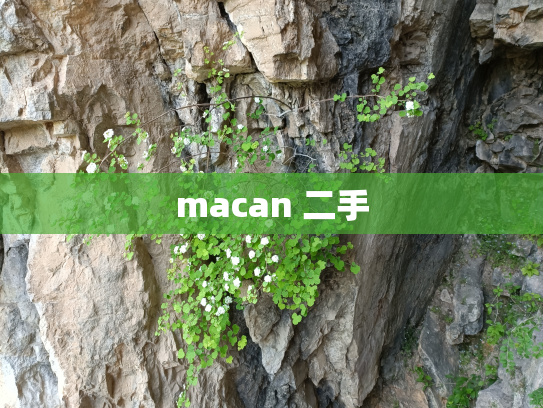 macan 二手