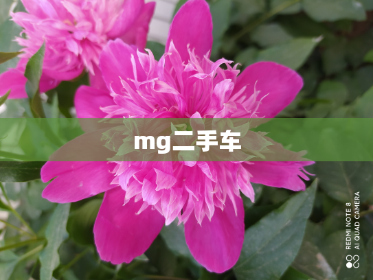 mg二手车