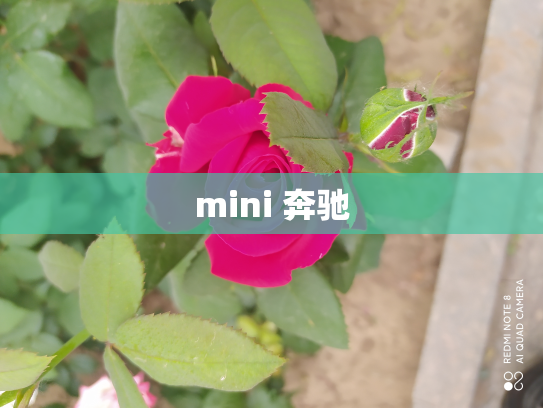 mini 奔驰