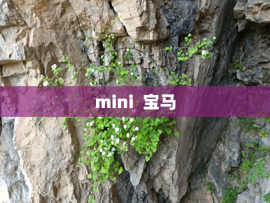 mini  宝马
