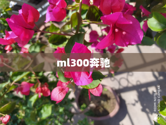 ml300奔驰
