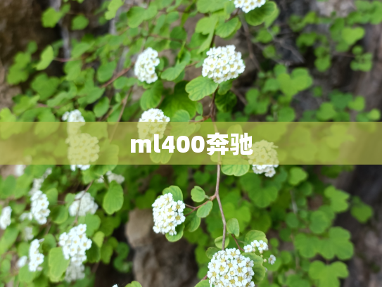 ml400奔驰