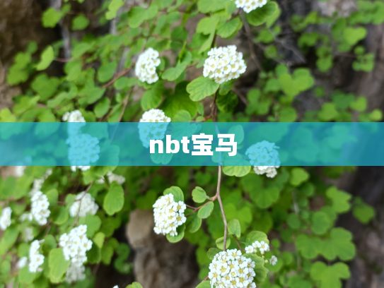 nbt宝马