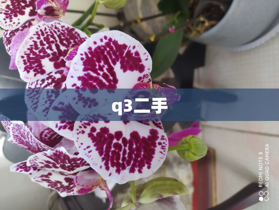q3二手