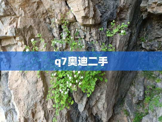 q7奥迪二手