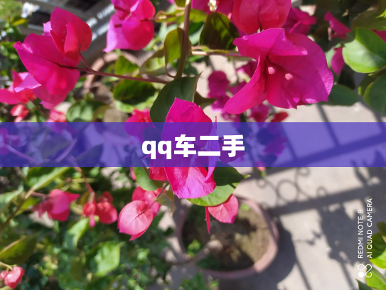 qq车二手