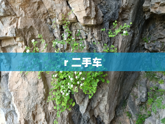 r 二手车