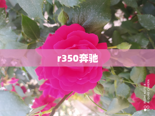 r350奔驰