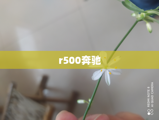 r500奔驰