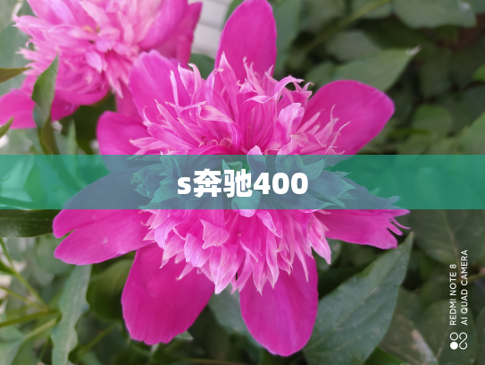 s奔驰400