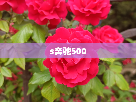s奔驰500