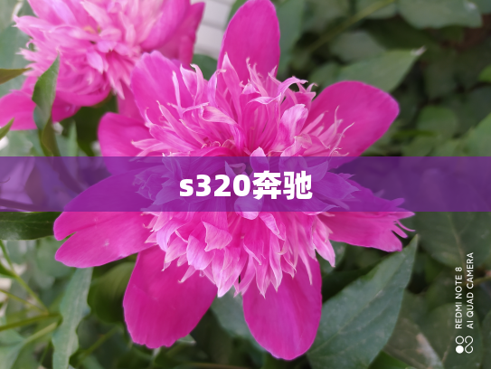 s320奔驰