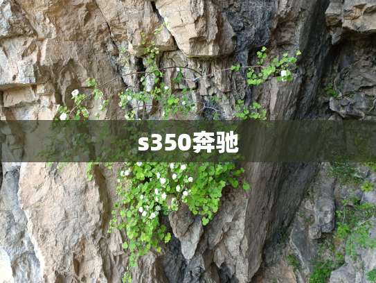 s350奔驰