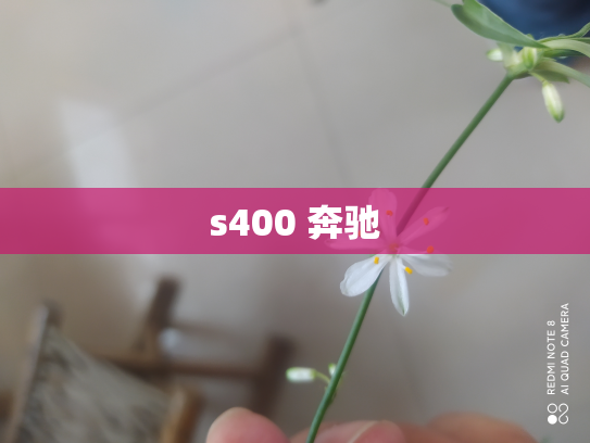 s400 奔驰