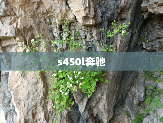 s450l奔驰