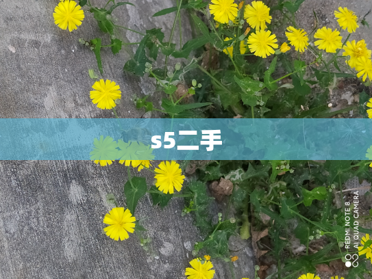 s5二手
