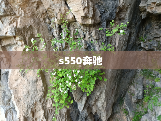 s550奔驰