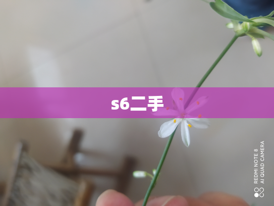s6二手