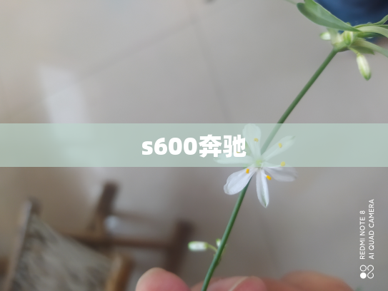 s600奔驰