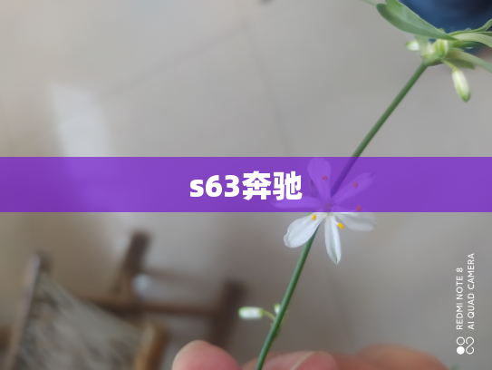 s63奔驰