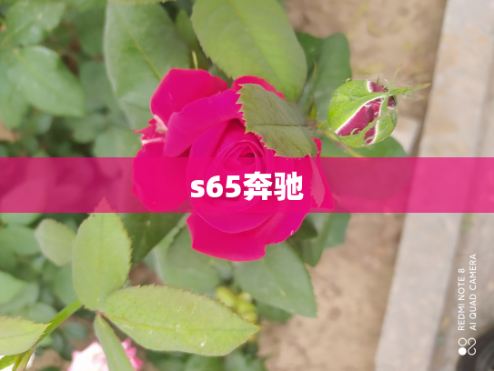 s65奔驰