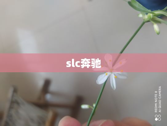 slc奔驰