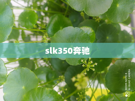 slk350奔驰