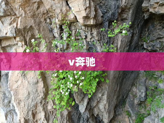 v奔驰