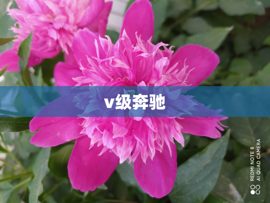 v级奔驰