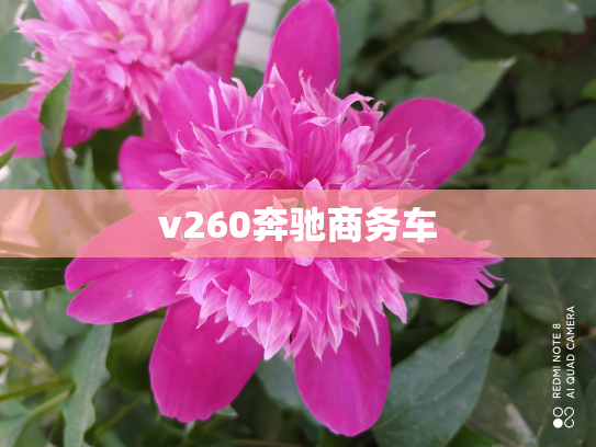 v260奔驰商务车