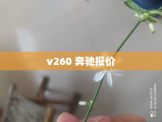 v260 奔驰报价