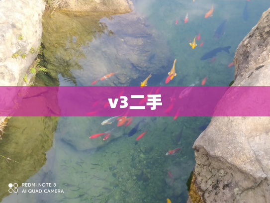 v3二手