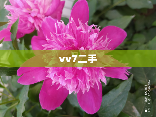 vv7二手