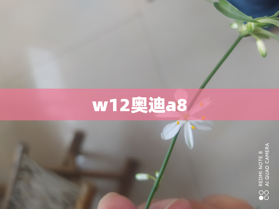 w12奥迪a8