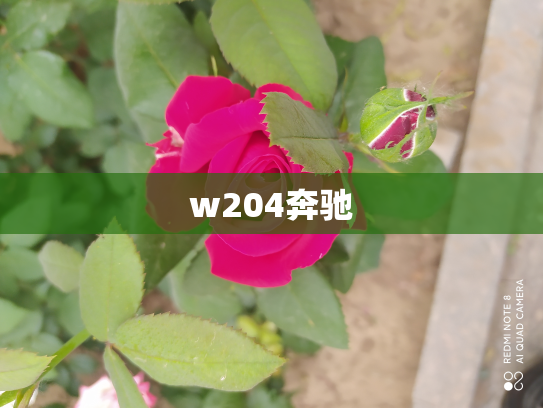 w204奔驰