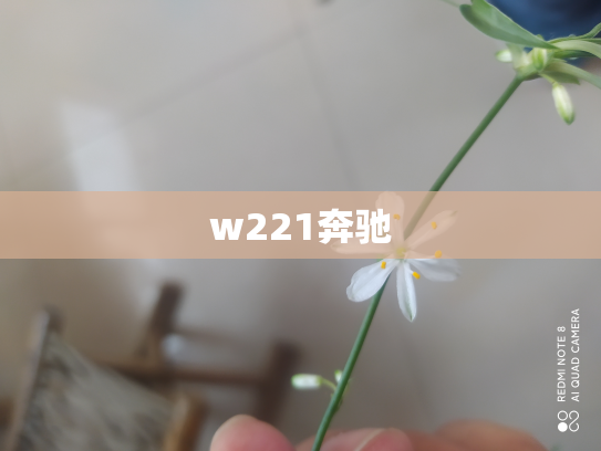 w221奔驰