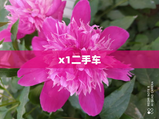 x1二手车