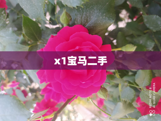 x1宝马二手