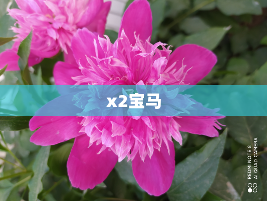 x2宝马