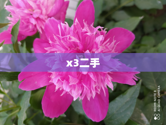 x3二手