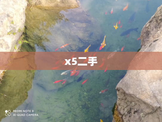x5二手