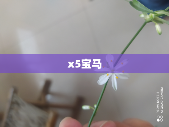 x5宝马