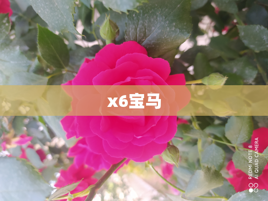 x6宝马