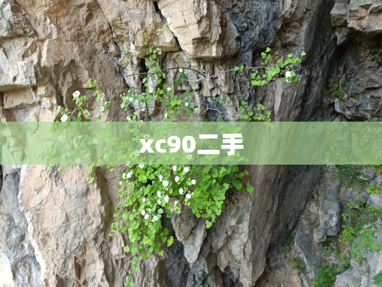 xc90二手