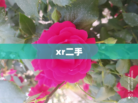 xr二手