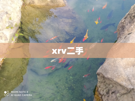 xrv二手
